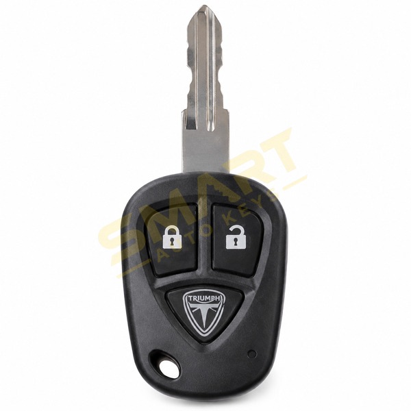 Tesla Roadster Tesla Remote Key | Smart Auto Keys Tesla Roadster Tesla Remote Key replacement spare car key - supplied, cut and programmed by Smart Auto Keys
